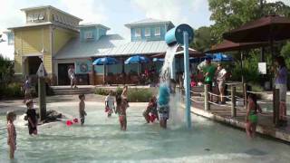 Brevard Zoo Summer Camps [upl. by Assirehc]