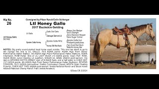 Pitzer Ranch 2024 Spring Sale Lot 26 Ltl Honey Gallo [upl. by Amaryl]