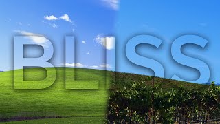 Bliss  The Story of Windows XP’s Famous Default Wallpaper [upl. by Holcomb205]