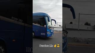 Altamar Futura  ETN 🔵 volvo irizari8 scania man shorts travel viaje [upl. by Asselim]