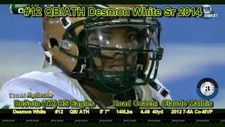 3rd Coast Ballers 12 Desmon White  2012 Junior Highlights [upl. by Hyland772]