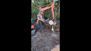 Power to Cut HardwoodsM18 FUEL™ Top Handle Chainsaw🎥 mitchzenobitrees [upl. by Sumer986]