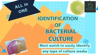 Identification of BACTERIAL Culture Media  MICROBIOLOGY LAB PRACTICAL [upl. by Athallia]