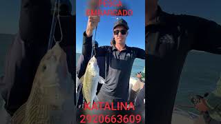 La Katalina sigue a full 🎣🎣 BAHÍA SAN BLAS LOS ESPERA [upl. by Nabroc]