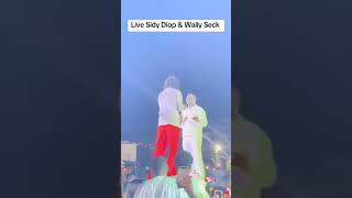 Soirée Sidy Diop  Wally Seck débarque en surprise quel ambiance [upl. by Atiuqan]