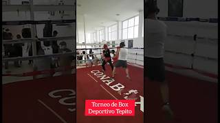 Torneo de Box en Tepito Fue en ese momento que Saya sintió el verdadero terror [upl. by Burkle]