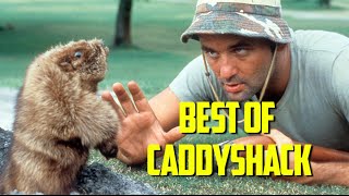 Best of Caddyshack 1980 [upl. by Ylrehc]