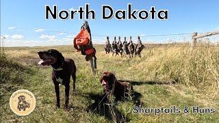 North Dakota Sharptail amp Huns Part 2 [upl. by Klein]