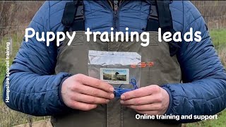 Basic puppy Leadleash training working Cocker Springer Spaniel gundog training obedience [upl. by Asyla83]