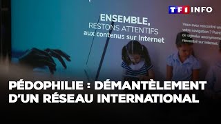 Enquête  Pédophilie  démantèlement d’un réseau international｜TF1 INFO [upl. by Yesteb238]