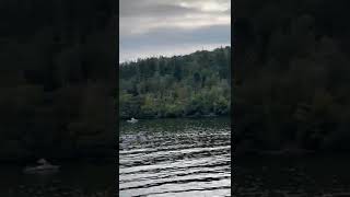 Boating  Lake district travel shortstravel vlog  beauty nature [upl. by Neiman]