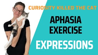 Follow Along Speech Therapy for Aphasia  Expression Completion [upl. by Golding]