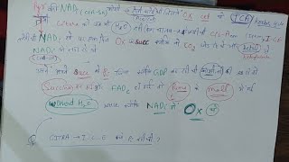 Krebs cycle or TCA  How to remember  Funny and effective way [upl. by Gilbertson]