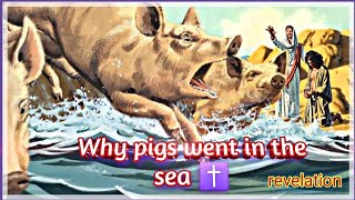 Why Did demons Go Into The Pigs  How Does This Relate To Our Lives Biblical Revelation [upl. by Cathlene]