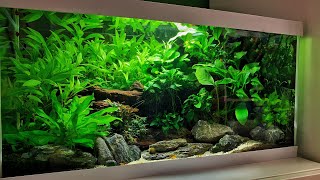 3 EPIC LOW TECH AQUASCAPES NON CO2 [upl. by Radmilla]