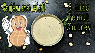 5 mins Peanut chutney  வேர்க்கடலை சட்னி  Grounut chutney  Jayanthis Samayal [upl. by Anelec32]