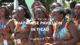 TICAD Ⅵ（ジャパン・アフリカEXPOでの日本企業の展示の様子）―平成28年8月25～28日 [upl. by Aurelea]