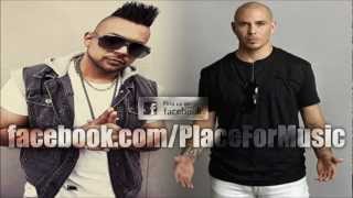 Sean Paul feat Pitbull  She Doesnt Mind Official Remix [upl. by Eden406]