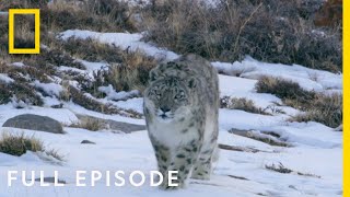 Mountains Full Episode  Hostile Planet [upl. by Mona]