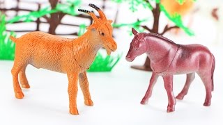 Kids toys videos  Building farm with animals and birds  animal sounds effects [upl. by Domini]