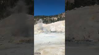 Its Easy trail to Bumpass Hell Hot at Lassen Volcanic National Parkshorts nationalparks [upl. by Nautna852]