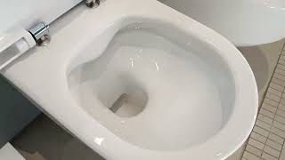 How to remove the Laufen PRO toilet lid Як зняти кришку унітаза Лауфен Про [upl. by Keiryt]