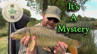 Anglers Paradise  The Mystery Lake [upl. by Coral]