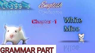 CLASS 5 ENGLISH Buzzword CHAPTER 1 WHITE MICE QUESTION ANSWERS GRAMMAR PART [upl. by Jariv]