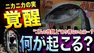 一体、何が起こるのか？【ワンピース ネタバレ】 [upl. by Bettencourt]