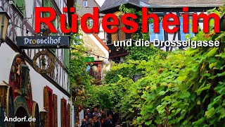 Rüdesheim und die Drosselgasse [upl. by Nomed]