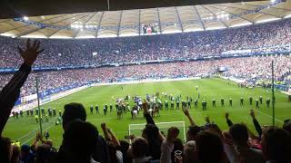 Klassenerhalt Hamburger SV  Vfl Wolfsburg 20052017  Abpfiff  Platzsturm [upl. by Wickham128]