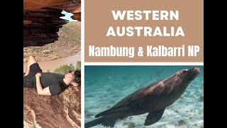 Pinnacle desert and meet amp greet with seals in Jurien Bay  Western Australia [upl. by Adebayo771]