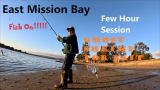 Mission Bay San Diego Fishing Session sargo baitfishing croaker bonefish surffishing [upl. by Ssilb578]