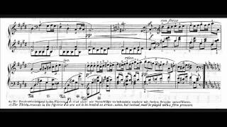 Hamelin plays Chopin  Polonaise op 26 No 1 Audio  Sheet music [upl. by Tessie]