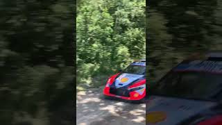 Rally Poland Jump 2024 Ott Tanak [upl. by Nabalas426]