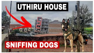 Sniffing Dogs on Site  Uthiru 5 Storey Building Collapse [upl. by Eveivenej]