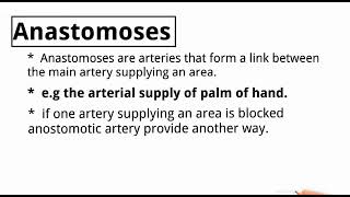 Anastomoses and End artery ✔️✔️ [upl. by Eatnom812]