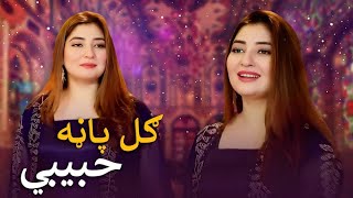 Gul Panra Mast Pashto Song  Habibi  حبیبي مسته پښتو سندره  ګل پاڼه [upl. by Anreval457]