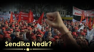 Sendika Nedir 1 Bölüm Sendika  Sendika türleri Neden Sendikalaşmalıyız [upl. by Alien]