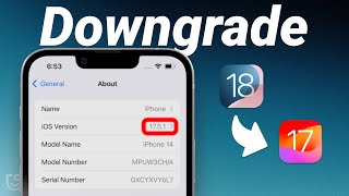 Updated How to Downgrade iOS 1817 to iOS 1716 Without Data Loss  2 Ways  2024 Updated [upl. by Keil]