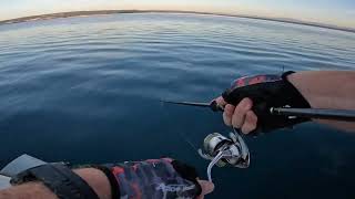 Topwater fishing for a Bluefish Adriatic Sea Crikvenica [upl. by Christan509]