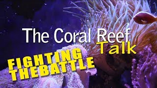 FIGHTING THE BATTLE REEF TANK UPDATES [upl. by Celio28]