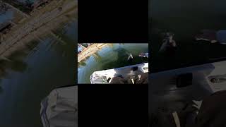 bassfishing largemouthbassfishing fishing zmanfishing lake kentucky kayakfishing [upl. by Oman567]