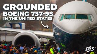 Boeing 7379s Grounded In United States [upl. by Anaeerb768]