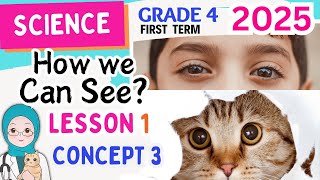 Grade 4 Science  Concept3  Lesson 1How we can see  2025 ساينس رابعه ابتدائي الترم الاول [upl. by Rothberg]