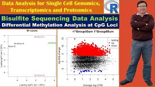 Bisulfite Sequencing Data Analysis Differential Methylation Analysis at CpG Loci [upl. by Brinkema]