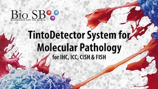 Bio SB TintoDetector System for Molecular Pathology  Instructional Video [upl. by Balas]