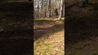 EBike Runde bei besten März Wetter🤘🏻 maxreinhardt ebike [upl. by Nitsreik68]