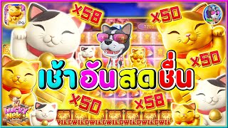 Lucky Neko │ ลักกี้เนโกะ แมวPG➤เช้า อันสดชื่น [upl. by Nairam427]