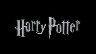 Harry Potter  Música Tema  Edwiges Theme [upl. by Rehpinej234]